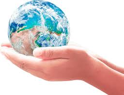 Green Horizon: Straws and Environmental Stewardship in Building a Sustainable Dream