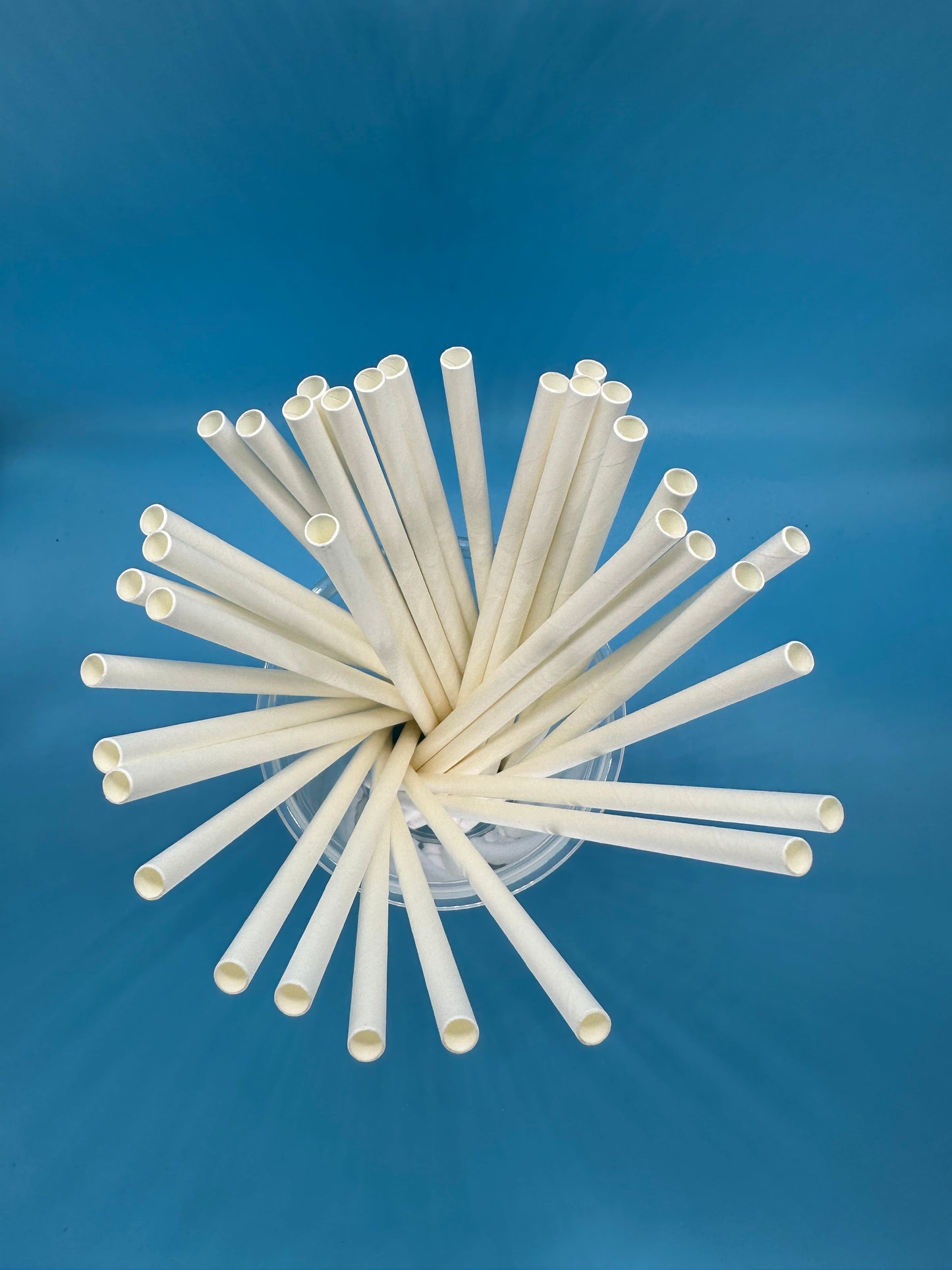 6*197mm Green Bull Straw - Eco-Friendly Paper Straw Set a Pack of 100 White