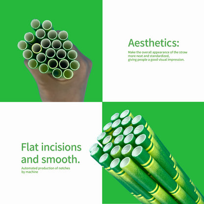 Eco-Friendly Cafe Straws Green Bamboo Paper Straw Sets for Parties